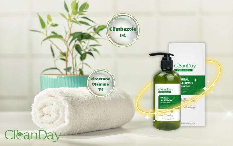 Dầu gội thảo dược trị gàu Cleanday