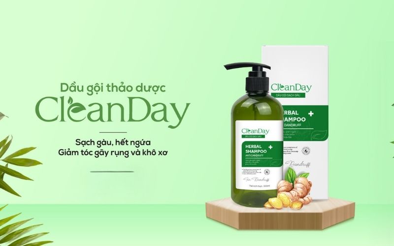 Dầu gội thảo dược CleanDay lành tính nên phù hợp với mọi đối tượng