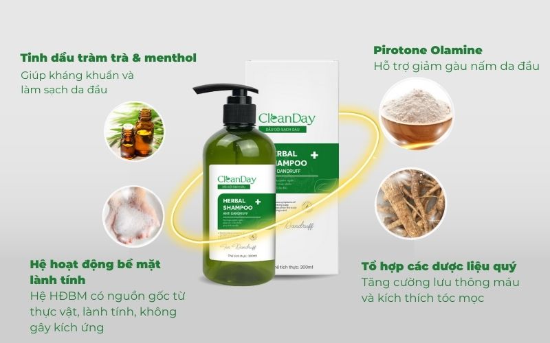 Thành phần dầu gội Cleanday bao gồm chiết xuất các thảo dược thiên nhiên lành tính