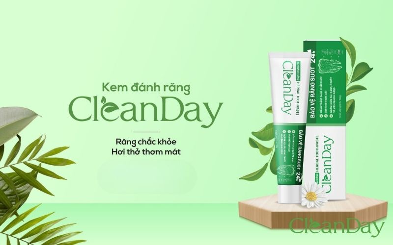 Kem đánh răng thảo dược Cleanday chiết xuất keo ong, hạt cau, trà xanh, hoa hỏe và cúc la mã