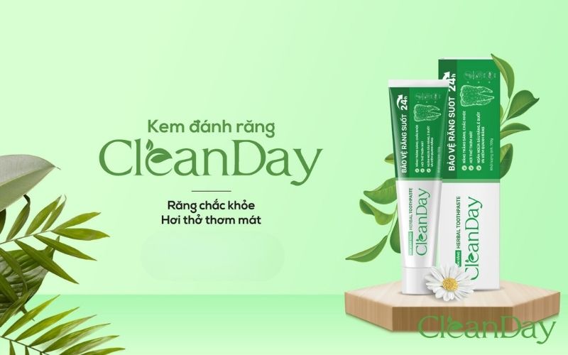 Kem đánh răng thảo dược Cleanday chiết xuất keo ong, hạt cau, trà xanh, hoa hỏe và cúc la mã