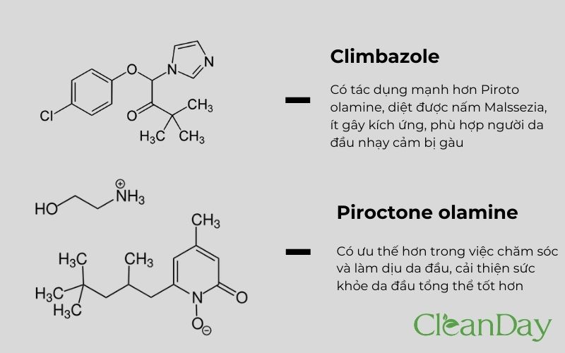 Kết luận hiệu quả điều trị củ So sánh hiệu quả điều trị của climbazole và piroctone olamine