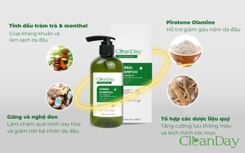 Các thành phần thảo dược có trong dầu gội CleanDay