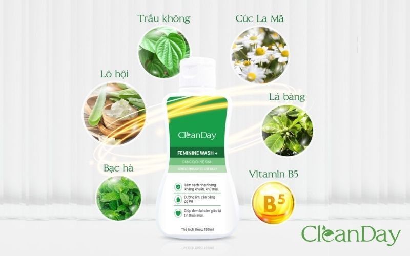 Dung dịch vệ sinh CleanDay còn chứa nhiều nguyên liệu thiên nhiên lành tính 