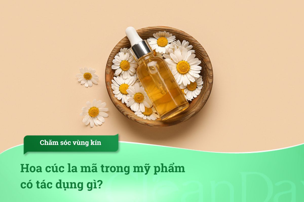 Hoa cúc la mã trong mỹ phẩm có tác dụng gì?