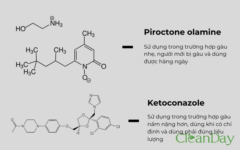 Kết luận nhanh về hiệu quả của ketoconazole và piroctone olamine trong trị gàu