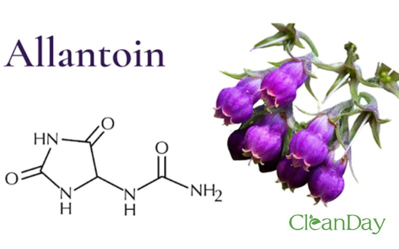 Cấu trúc hóa học của Allatonin