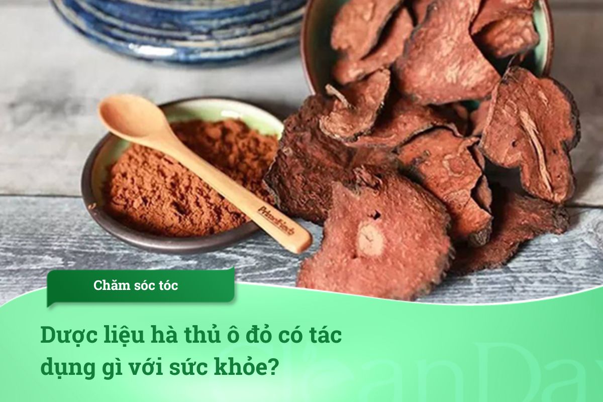 Dược liệu hà thủ ô đỏ có tác dụng gì với sức khỏe?