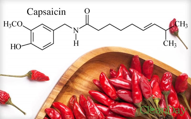 Chiết xuất ớt hay còn được gọi với cái tên Capsaicin