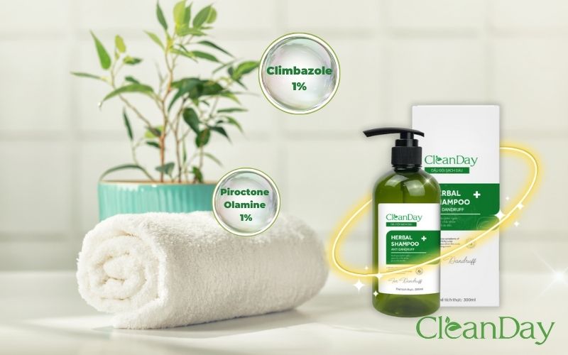 Dầu gội CleanDay bao gồm các thảo dược thiên nhiên và có tác dụng làm sạch gàu