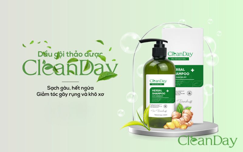 Dầu gội chứa chiết xuất trà xanh CleanDay