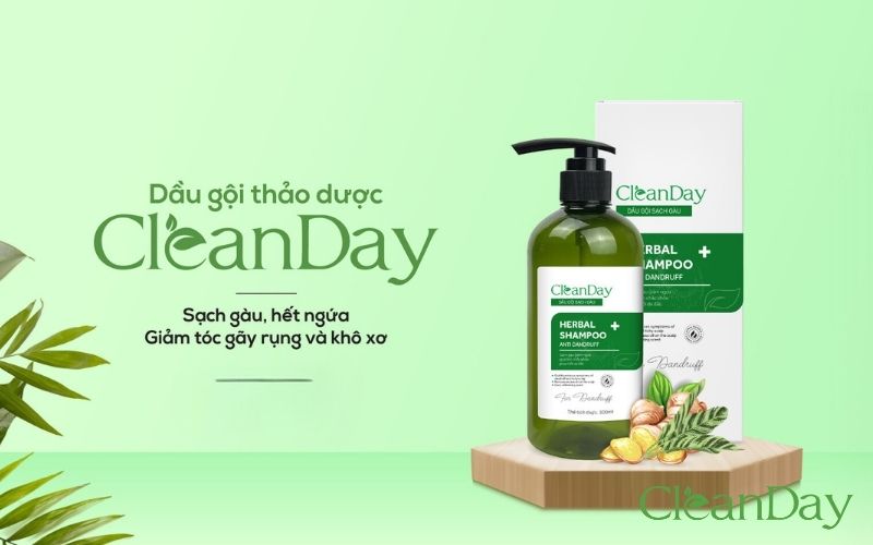 Dầu gội CleanDay vừa có tình thảo dược vừa có công dụng làm sạch gàu