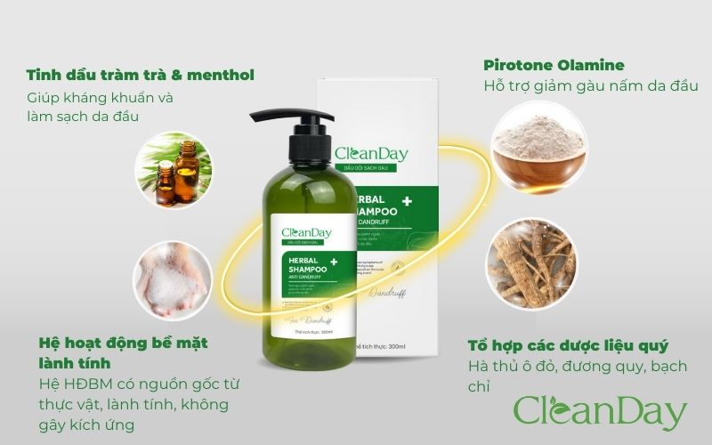 Dầu gội Cleanday chứa chiết xuất cỏ mần trầu cùng các loại thảo dược thiên nhiên khác