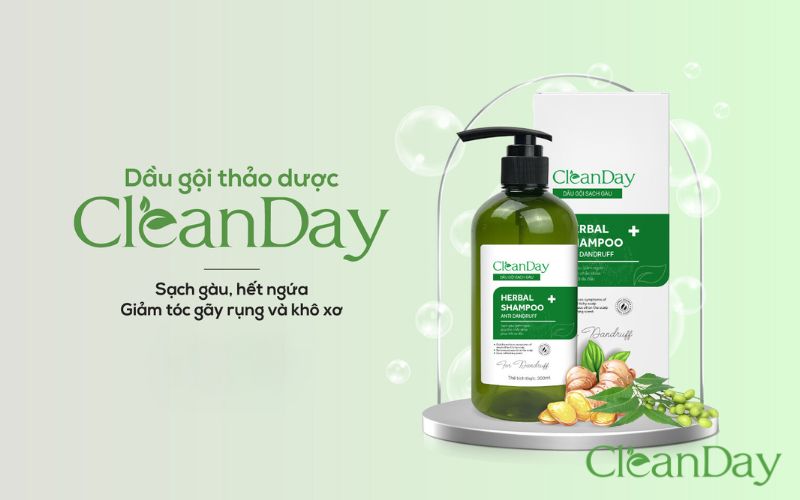 Dầu gội thảo dược CleanDay chiết xuất lá sầu đâu cùng các thảo dược thiên nhiên khác