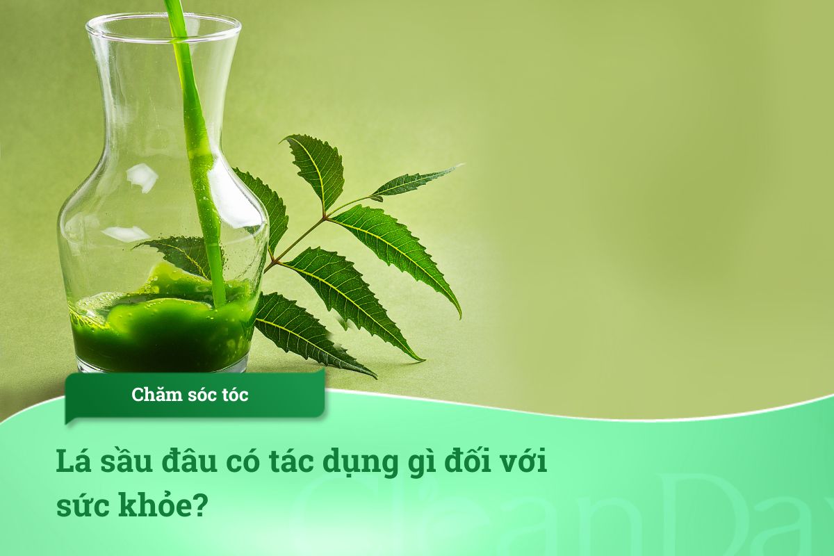 Lá sầu đâu có tác dụng gì đối với sức khỏe