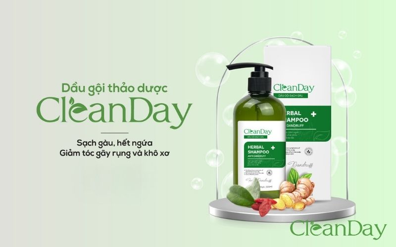 Dầu gội có chứa chiết xuất kỳ tử CleanDay