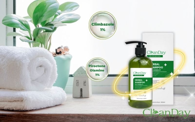 Dầu gội CleanDay với hoạt chất trị gàu nấm kết hợp với các thảo dược thiên nhiên lành tính