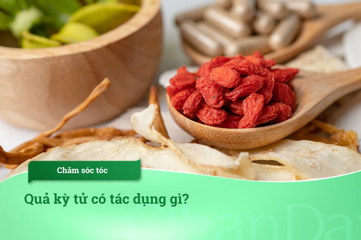 Quả kỷ tử có tác dụng gì?